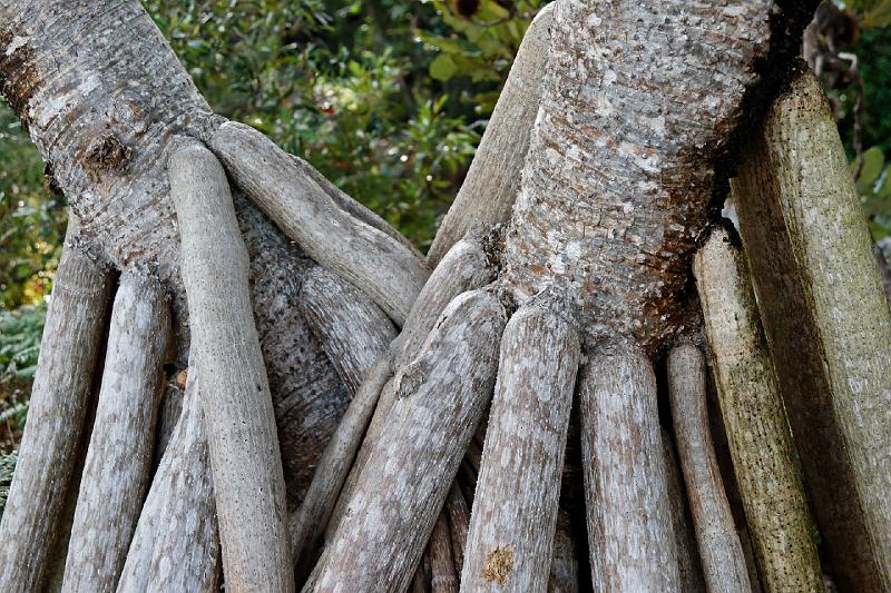 2007 05 16 Fraser Island 005_DXO.jpg
